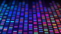 DNA Sequencing Data in a Genetic Analysis